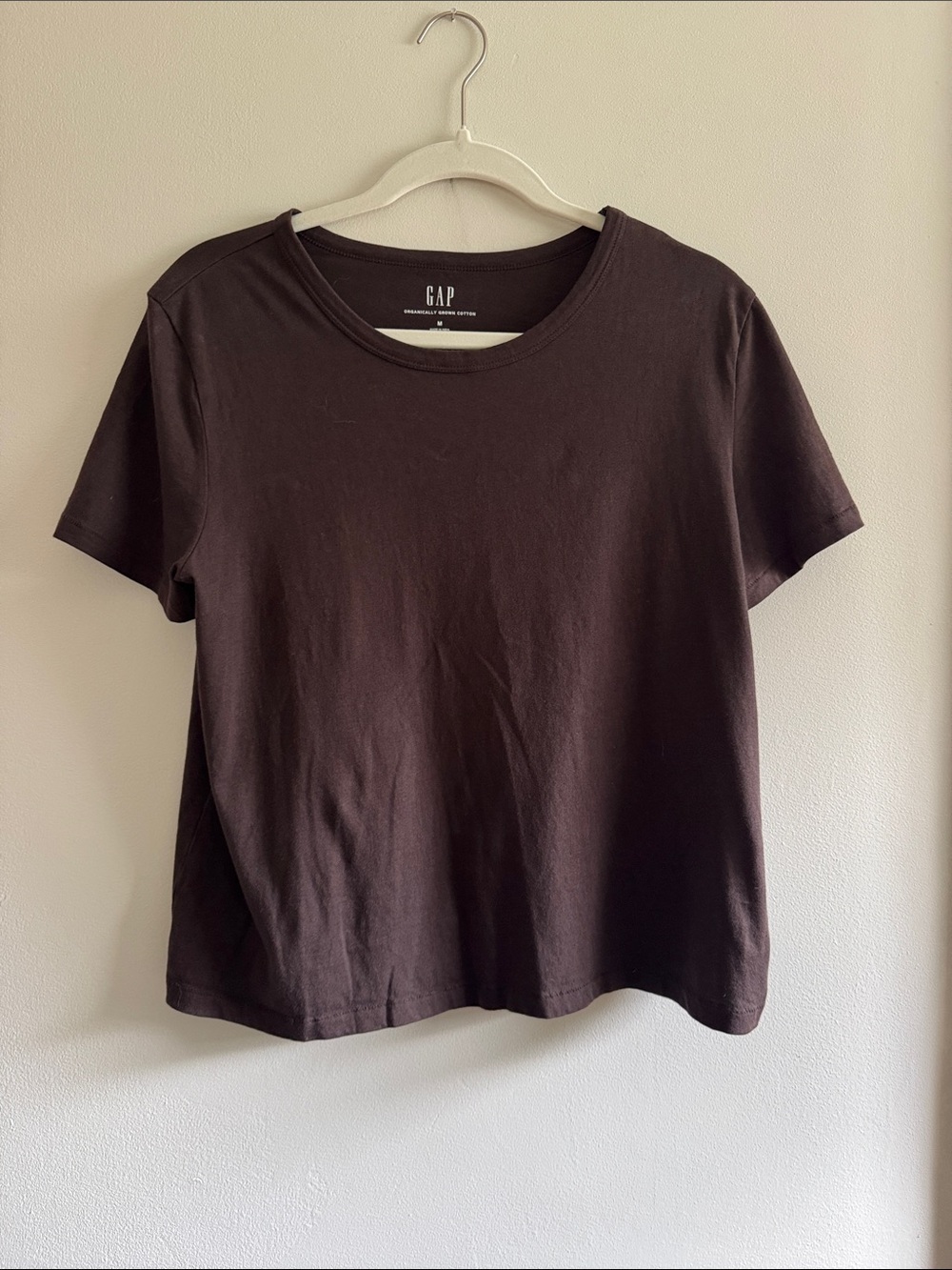 GAP Short Sleeve Crewneck Tee in Chocolate Brown